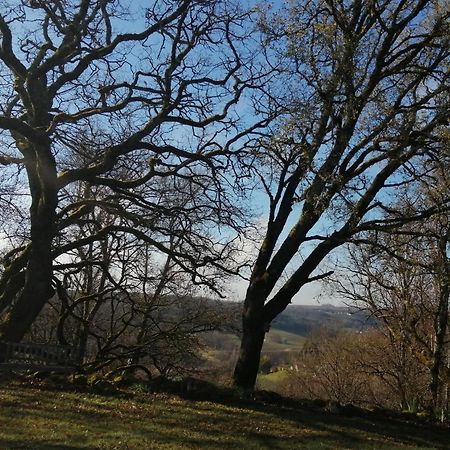 Gite Le Pigonnier Ecogite Le Luquet Saint Beauzeil 82150 Buitenkant foto